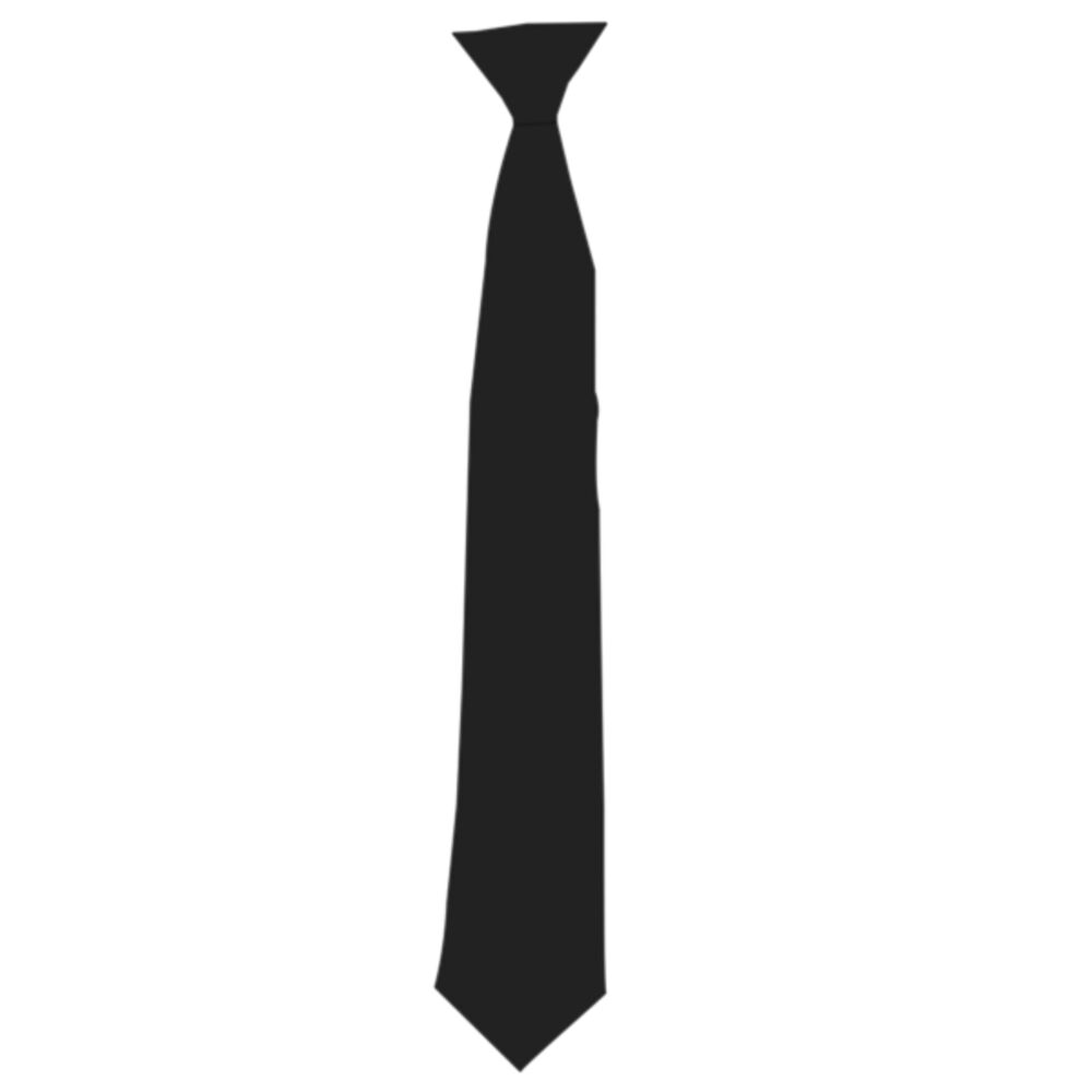 Premier Clip on Tie Thumbnail